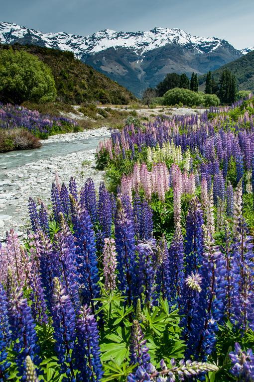 Glenorchy Peaks Bed And Breakfast Bagian luar foto