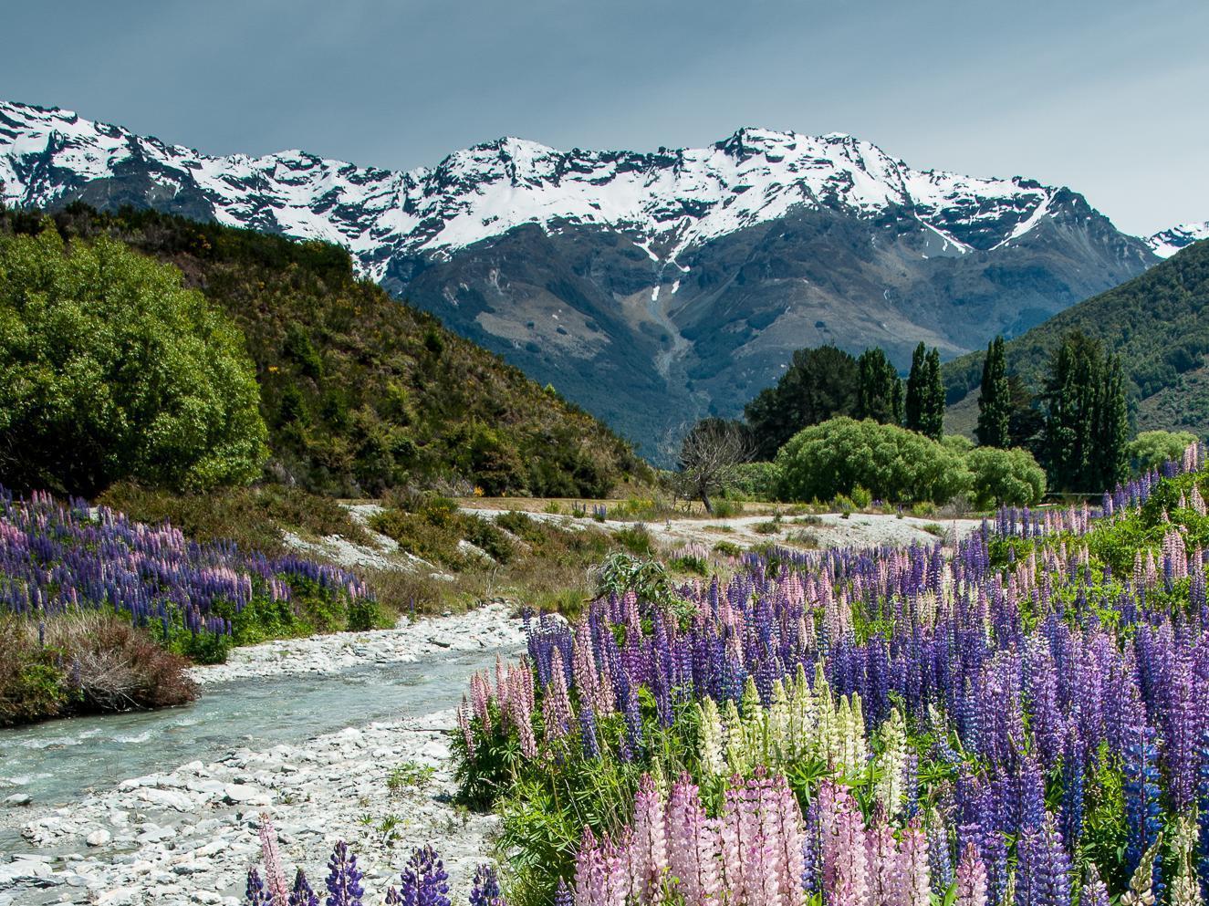 Glenorchy Peaks Bed And Breakfast Bagian luar foto